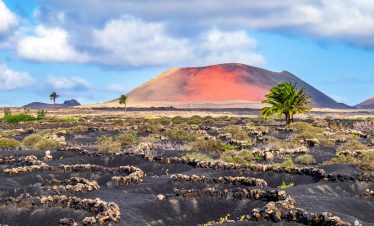 14615_istock-1161772339